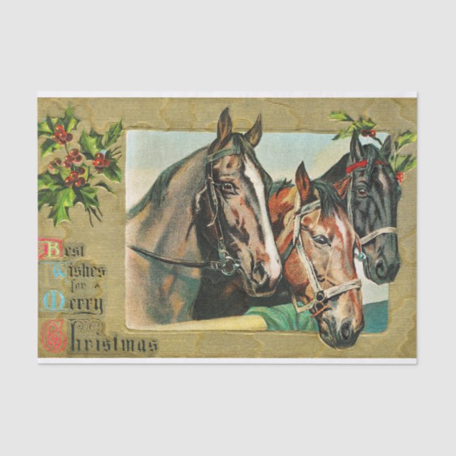 Die besten Wünsche für ein frohes Weihnachtsfest Seidenpapier (Vorderseite)