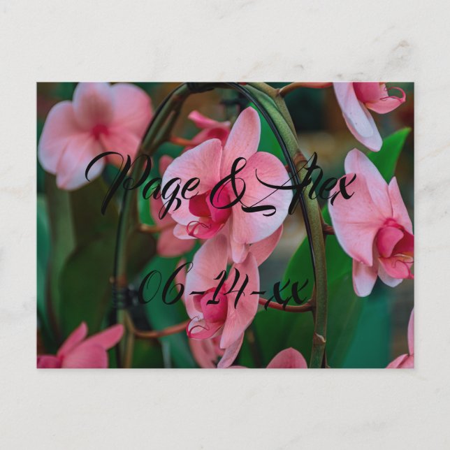 Die besten Wünsche nach neuem Weds Wedding Destiny Postkarte (Vorderseite)