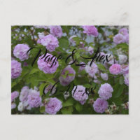 Die besten Wünsche nach neuem Weds Wedding Destiny