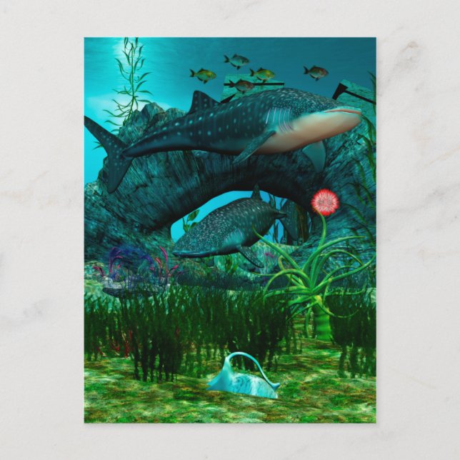 Die Bezeichnung Aquatic Life 3D Postkarte (Vorderseite)