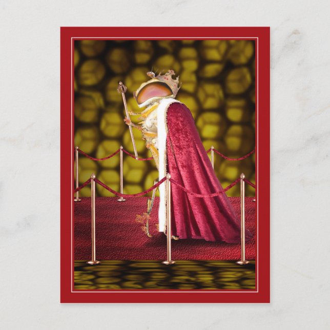 Die Biene der Königin Postkarte (Vorderseite)