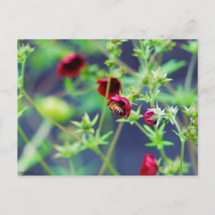 Die Biene mit der roten Blume Postkarte