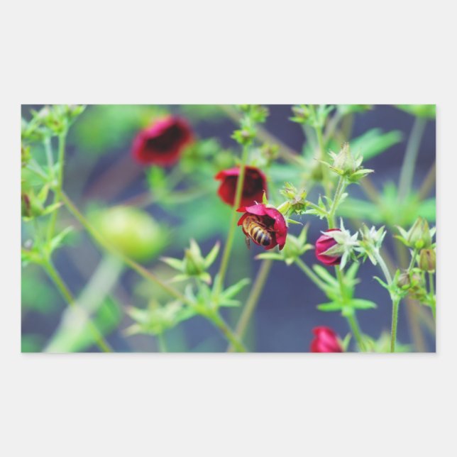 Die Biene mit der roten Blume Rechteckiger Aufkleber (Vorderseite)