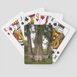 Die Bikerkarten der Signalstruktur Spielkarten