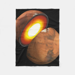 Die Bildung von Rocky Bodies im Sonnensystem. Fleecedecke