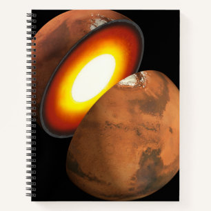 Die Bildung von Rocky Bodies im Sonnensystem. Notizbuch