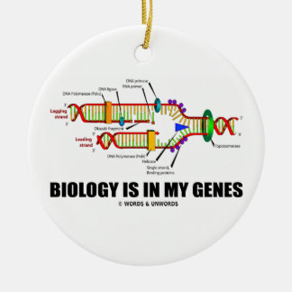 Die Biologie steckt in meinen Genen (DNA-Replikati Keramikornament