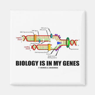 Die Biologie steckt in meinen Genen (DNA-Replikati Magnet