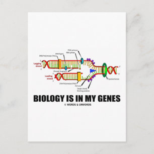 Die Biologie steckt in meinen Genen (DNA-Replikati Postkarte