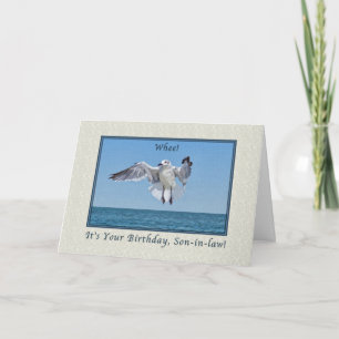 Die Birthday Card des Schwiegerlings Gull Bird Karte