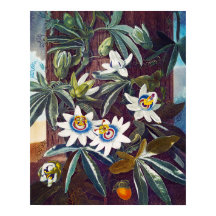 Die blaue Blume der Leidenschaft