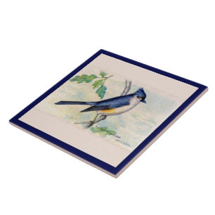 Die blaue Tufted Titmouse Bird Keramik Tile Fliese