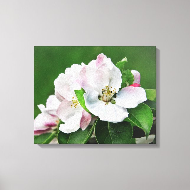 Die blühende Leinwand des Apfelbaums Kunst (Vorderseite)