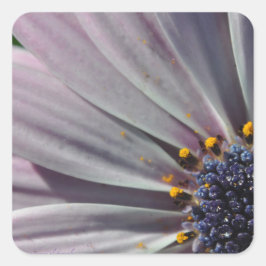 Die Blume innerhalb Quadratischer Aufkleber