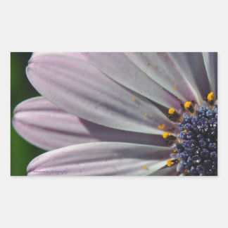 Die Blume innerhalb Rechteckiger Aufkleber