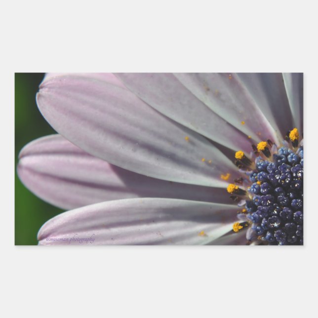 Die Blume innerhalb Rechteckiger Aufkleber (Vorderseite)