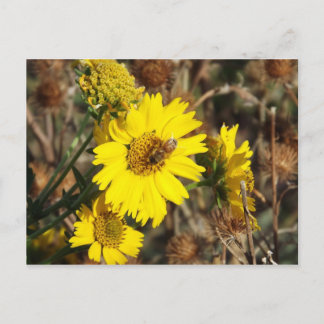 Die Blume und die Biene Postkarte