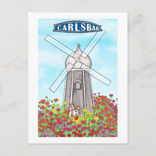 Die Blumenfelder von Carlsbad Kalifornien Postkarte