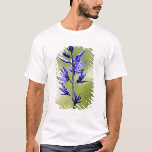 Die Blüte einer Kamellilie im Landkreis Valley, T-Shirt