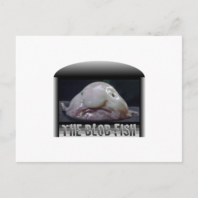 Die Blütenfische Postkarte (Vorderseite)