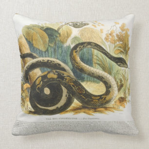 Die Boa constrictor, pädagogischer Illustration Kissen