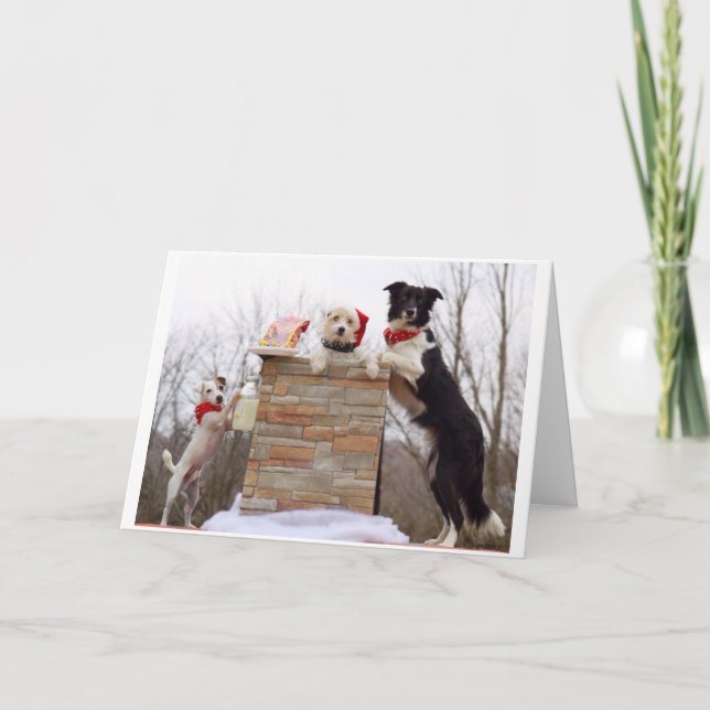 Die bösen Hunde sind bereit für den Weihnachtsmann Karte (Vorderseite)