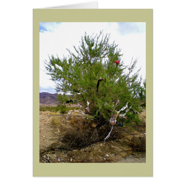 Die Bra Bush Unterwäsche (Vorne)