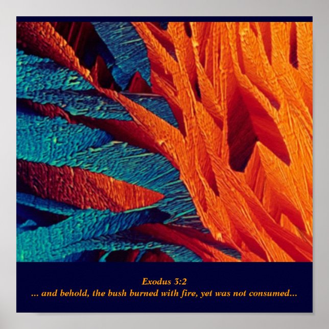 Die Brennende Bush-Abstrakt Poster (Vorne)