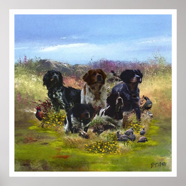 Die Bretagne-Spaniels, die Vogeljagdsaison Poster (Vorne)