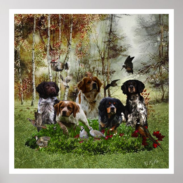 Die Bretagne-Spaniels, die Vogeljagdsaison Poster (Vorne)
