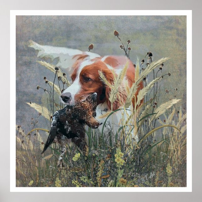 Die Bretagne-Spaniels, die Vogeljagdsaison Poster (Vorne)