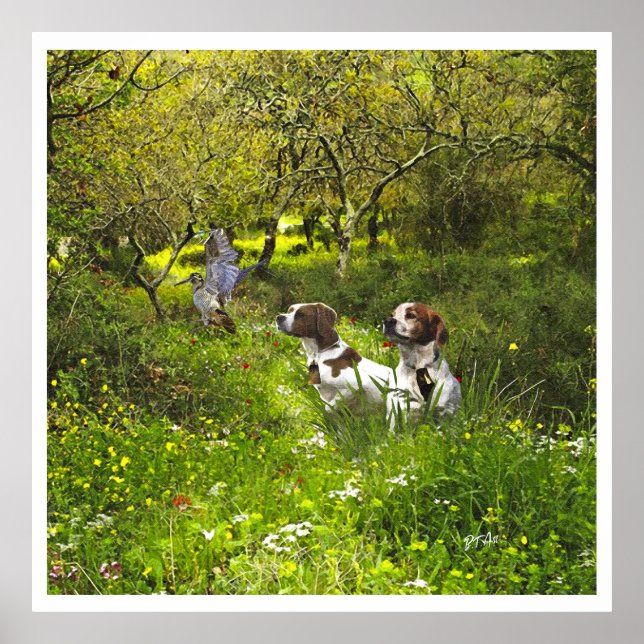 Die Bretagne-Spaniels, die Vogeljagdsaison Poster (Vorne)