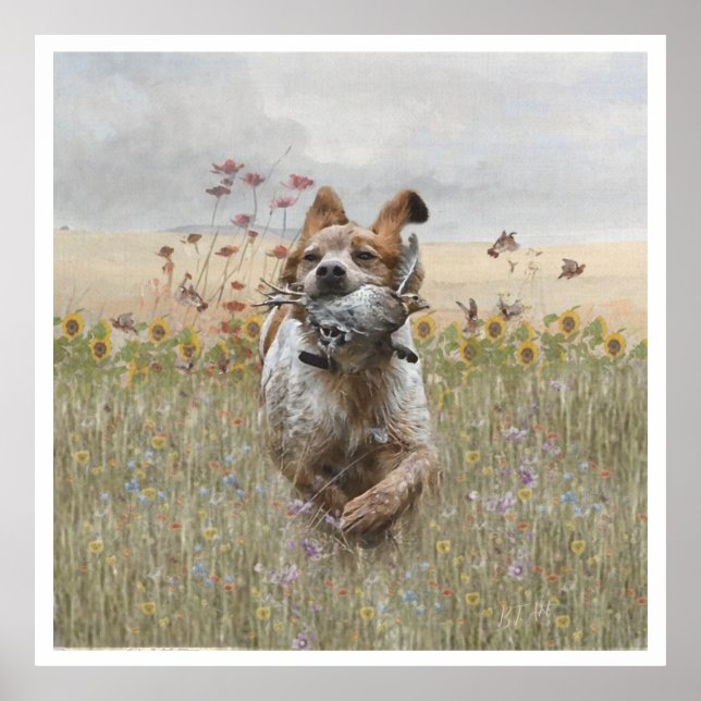 Die Bretagne-Spaniels, die Vogeljagdsaison Poster (Vorne)