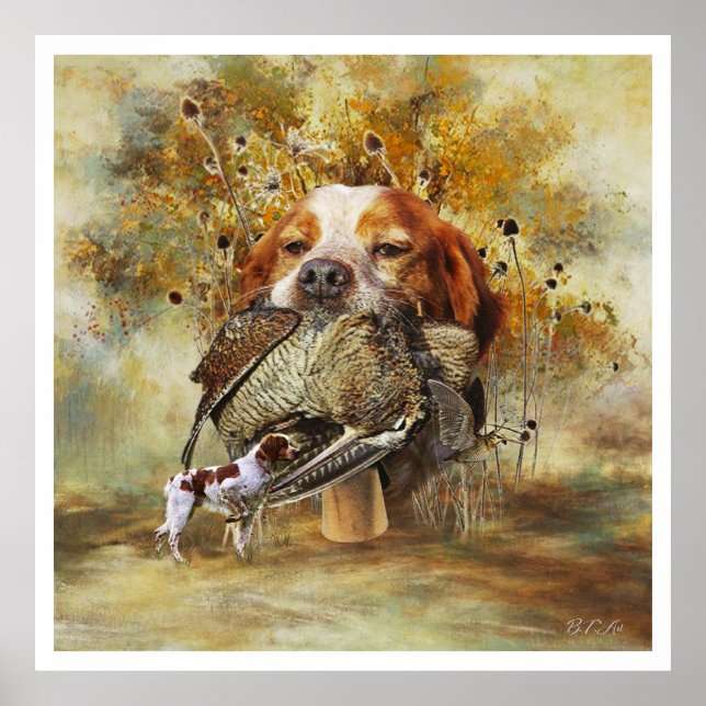 Die Bretagne-Spaniels, die Vogeljagdsaison Poster (Vorne)