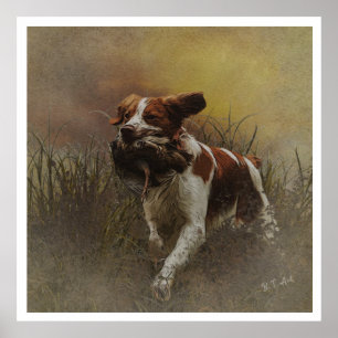 Die Bretagne-Spaniels, die Vogeljagdsaison Poster