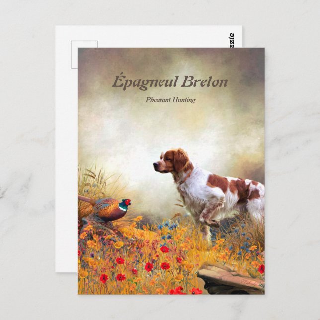 Die Bretagne-Spaniels, die Vogeljagdsaison Postkarte (Vorne/Hinten)