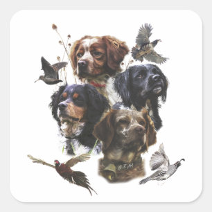 Die Bretagne-Spaniels, die Vogeljagdsaison Quadratischer Aufkleber