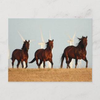 die Brise schlagen Postkarte