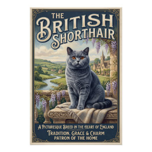 Die Britisch Kurzhaar  Poster