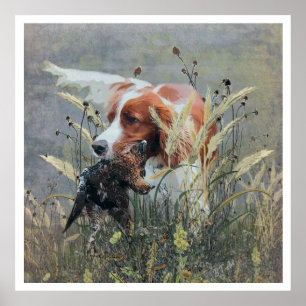 Die Brittany Spaniels , Vogeljagdsaison Poster