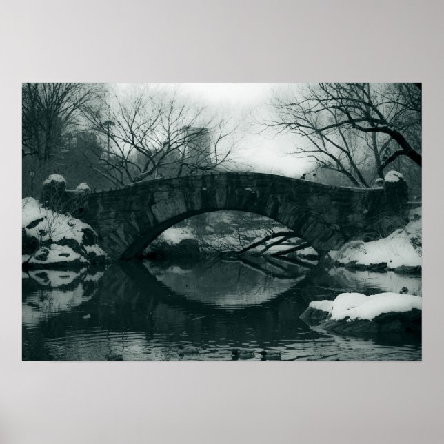 Die Brücke im Central Park Poster (Vorne)