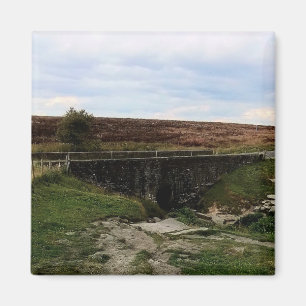 Die Brücke im Grünen Magnet