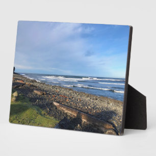 Die Bucht direkt am Meer, Oregon Fotoplatte