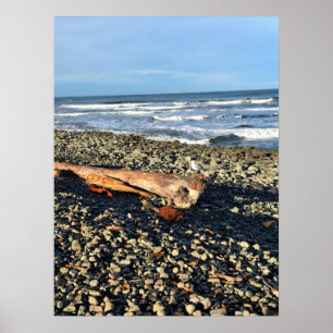 Die Bucht direkt am Meer, Oregon Poster