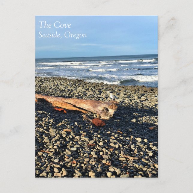 Die Bucht direkt am Meer, Oregon Postkarte (Vorderseite)