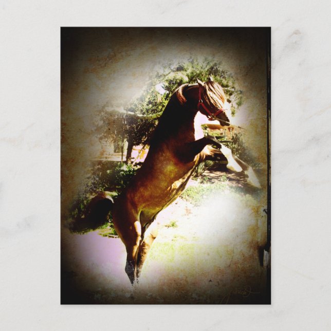 Die Bucht Postkarte (Vorderseite)