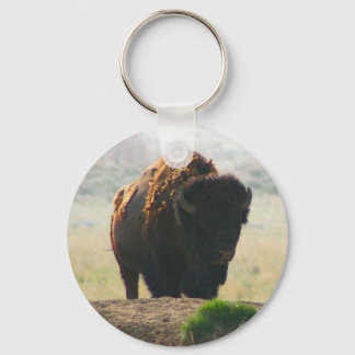 Die Buffalo-Sammlung II Schlüsselanhänger