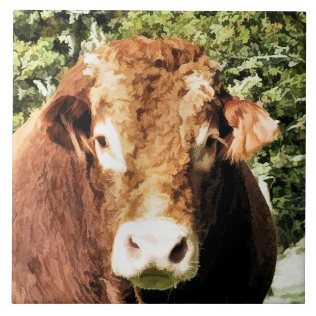 DIE BULL FLIESE (Vorderseite)