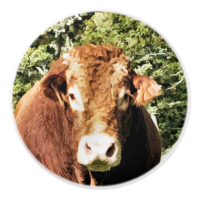 DIE BULL KERAMIKKNAUF (Vorderseite)