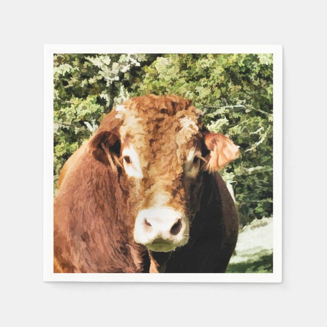 DIE BULL SERVIETTE (Vorderseite)